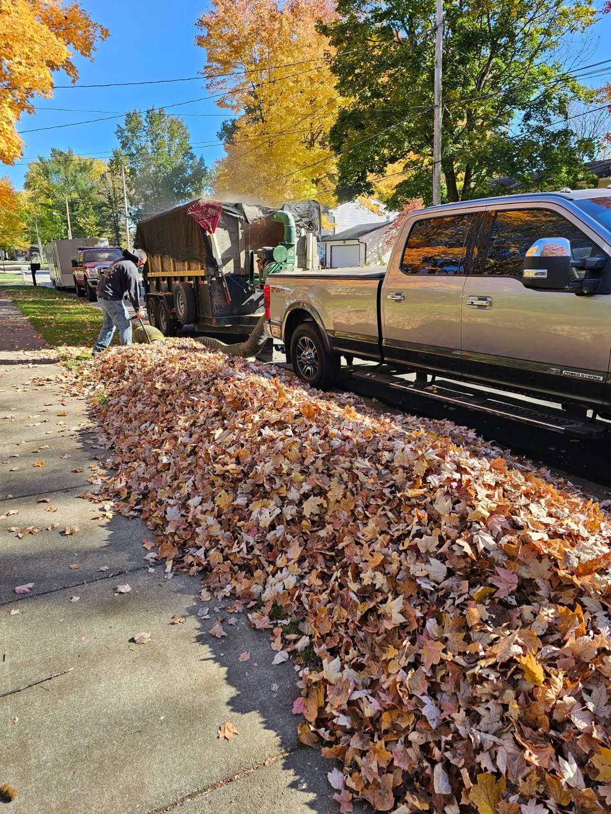 Fall Clean Up